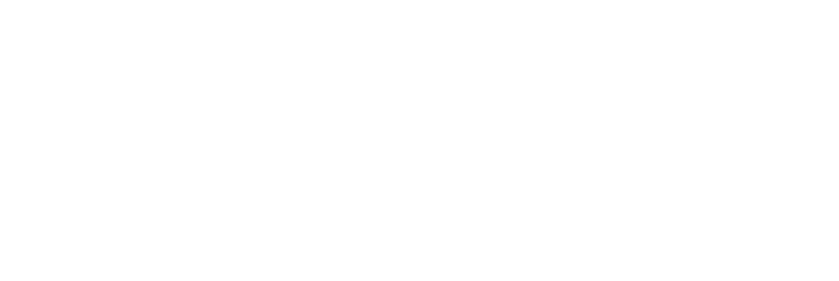 Star Movers LLC Logo